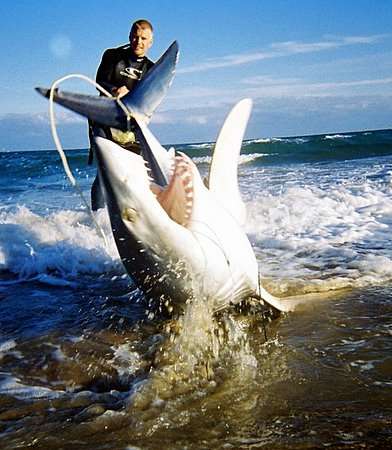 oz with his mako shark
