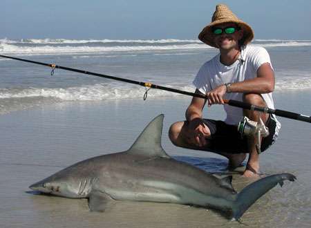 My First Blacktip Shark