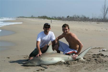 6' spinner shark landed in Ormond beach florida