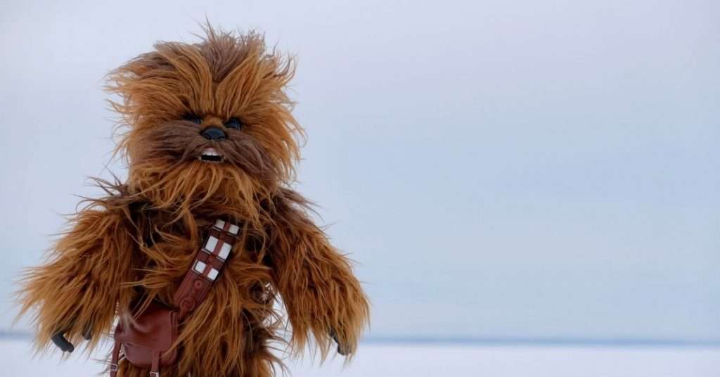 chewbaca_star wars collection